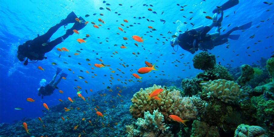 Scuba Diving in Side
