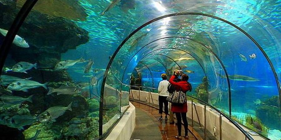 Antalya Aquarium Tour
